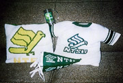 UNT pilow, pennant and T-shirt