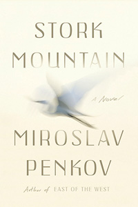 Stork Mountain book cover