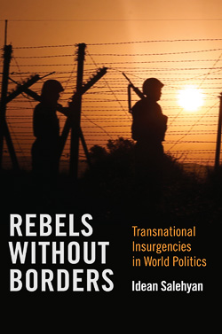  Transnational  Insurgencies in World Politics book cover