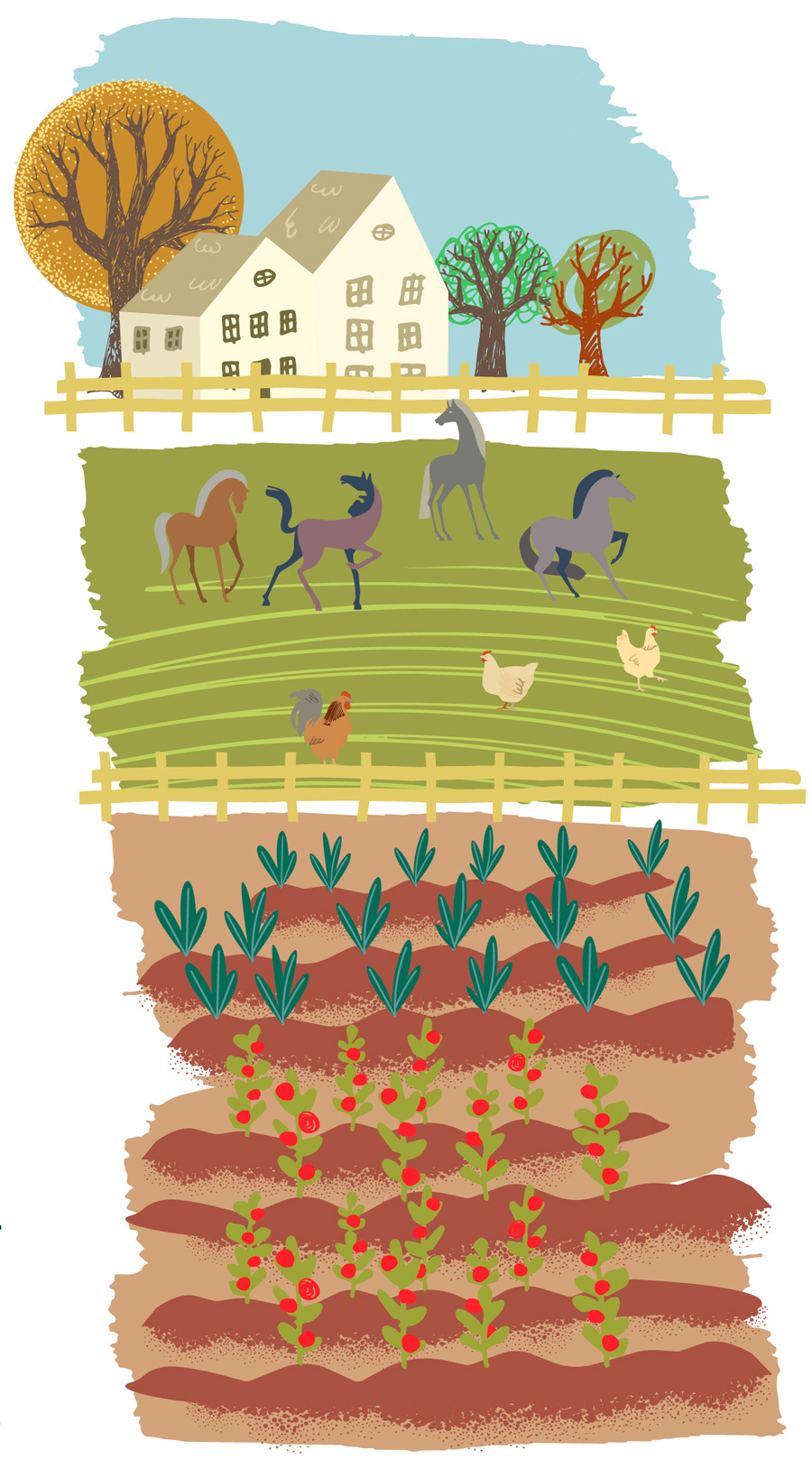 Agriculture illustration