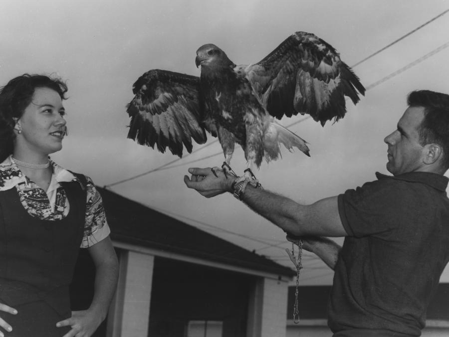 Students holding eagle