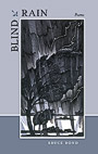 Blind Rain book cover