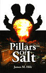 Pillars of Salt book cover