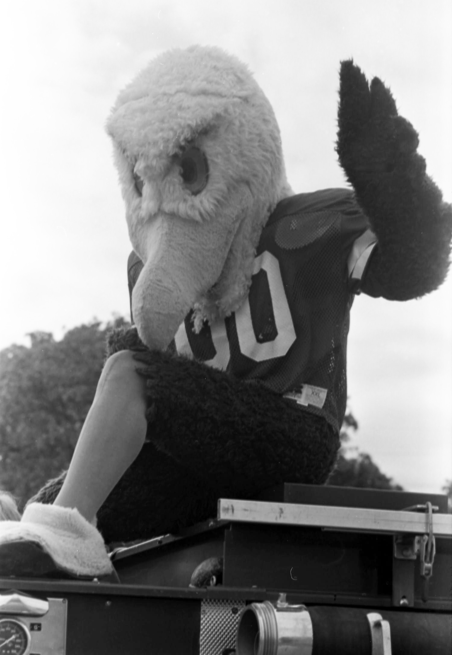 Eagle mascot on homecoming float