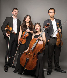 Zora String Quartet
