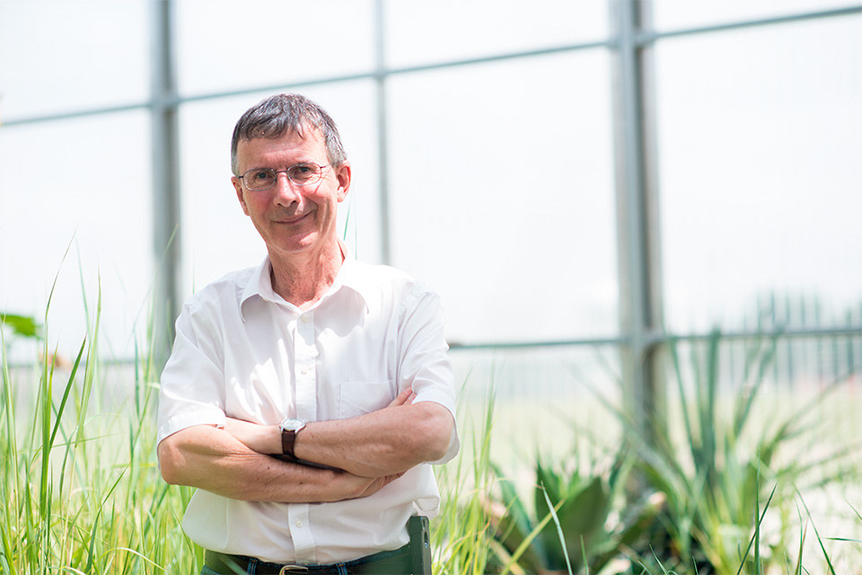 Richard Dixon in a UNT greenhouse