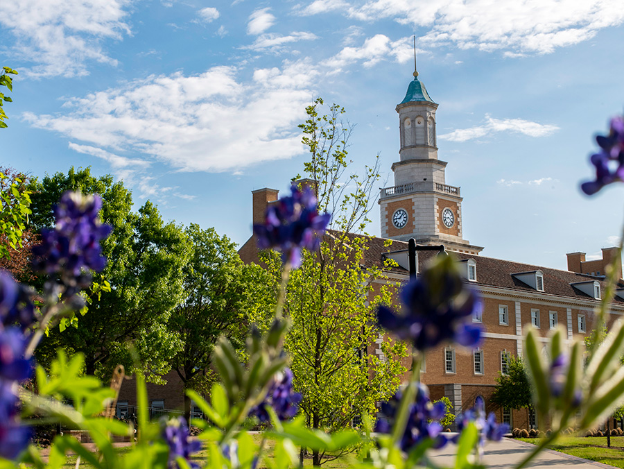 UNT Hurley Administration Building with blue bonnet flowers in the foreground