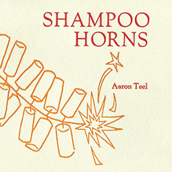Shampoo Horns cover