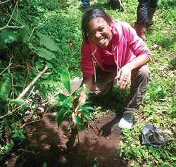 Emerald Eagle Scholar Lauren Doxley planted a tree in a service-learning project at Finca La Bella, a 122-acre cooperative farm in San Luis de Monteverde, Puntarenas, in Costa Rica. (Photo by Mona Hicks)
