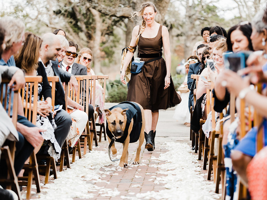 Amy Fiala with dog at wedding