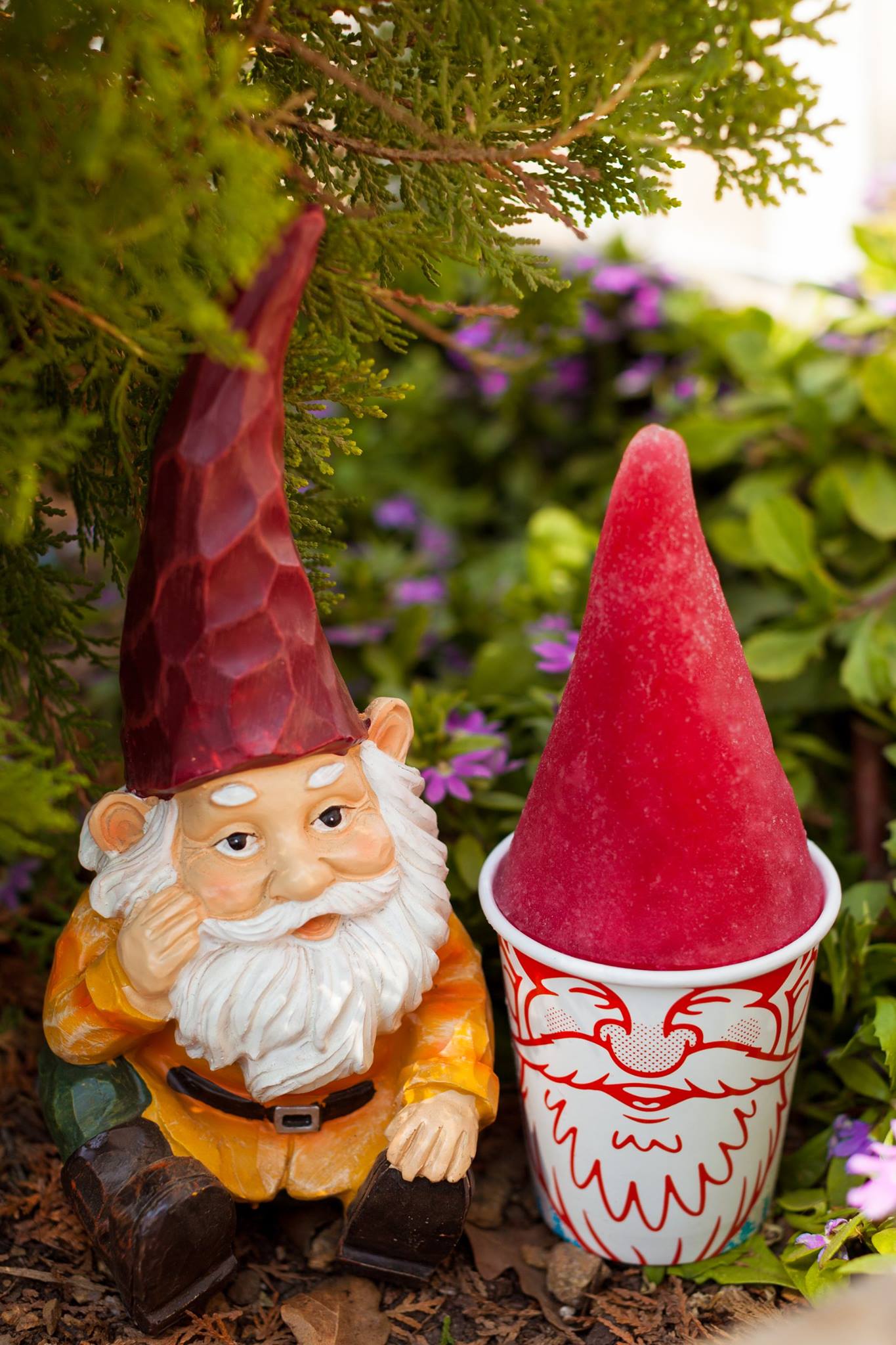 Gnome with a Gnome Cone.