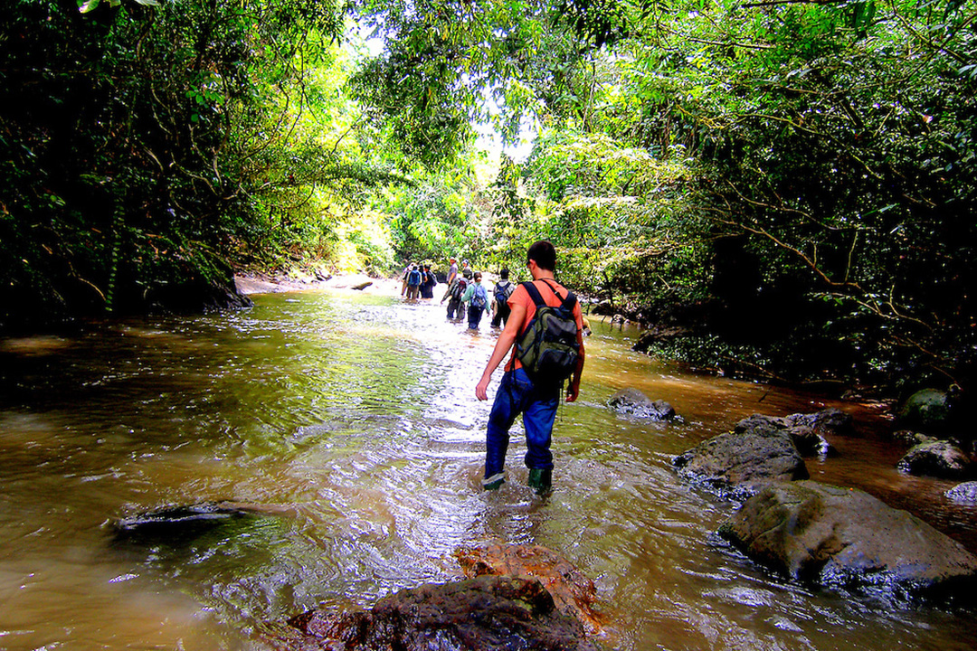 Cox trekked through the Borneo rainforest as part of a 2009 Earthwatch trip that centered on the effects of climate change there. The research, Cox says, is 
