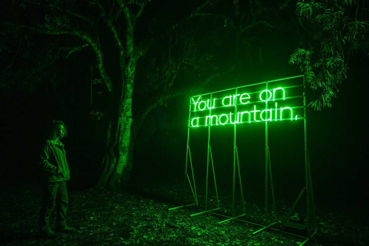 Alicia Eggert's You Are On A Mountain project