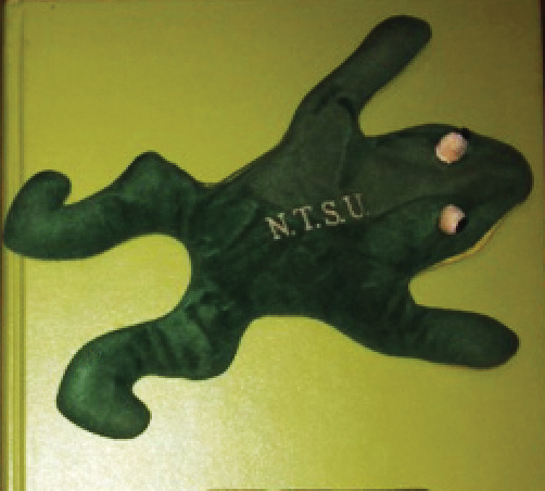NTSU frog