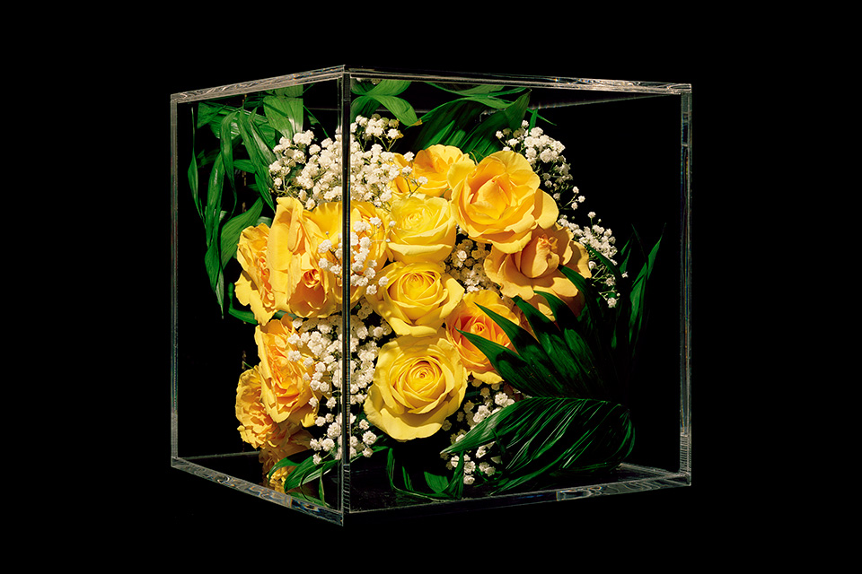 Rachel-Cox-Untitled-Arrangement-Yellow-Roses