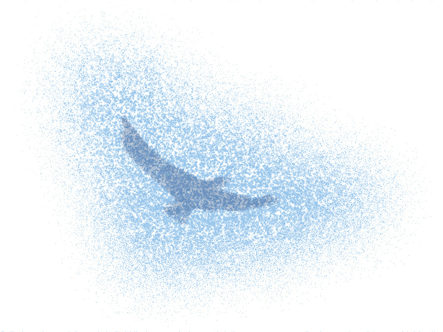 Bird in flight illustration