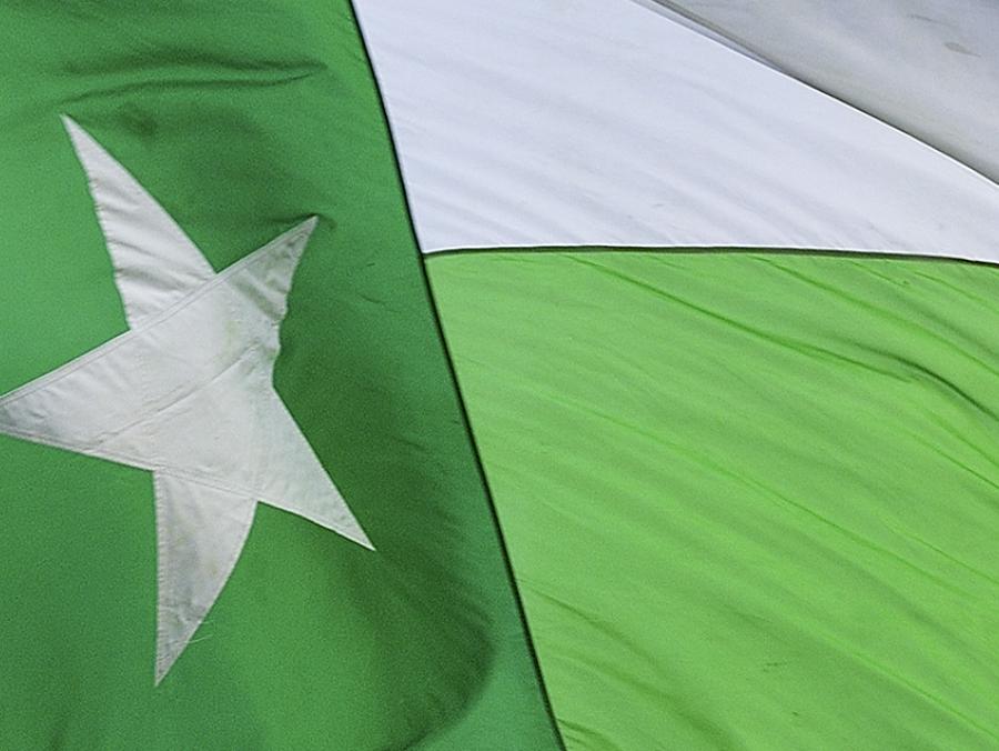 Detail of green and white UNT Battle Flag