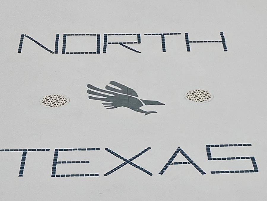 Photo of swimming pool with the words "North Texas" and diving eagle