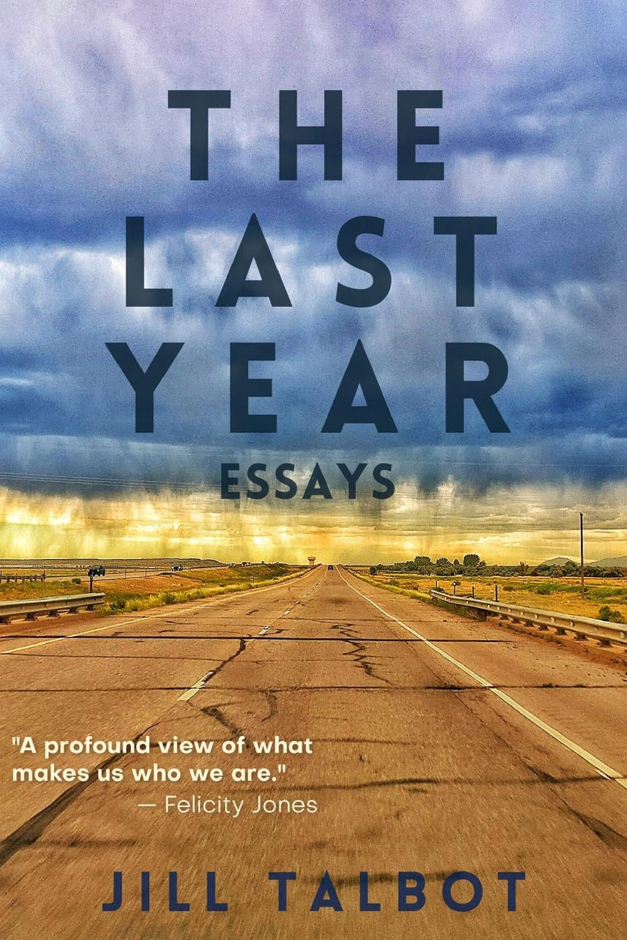 The Last Year Essays bookcover